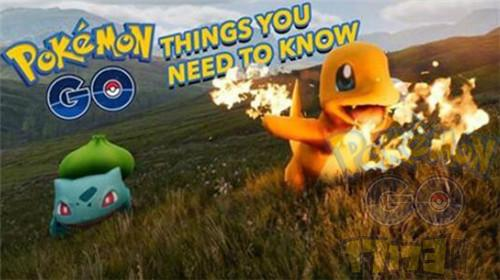 Pokemon精灵宝可梦GO稀有精灵刷新规律
