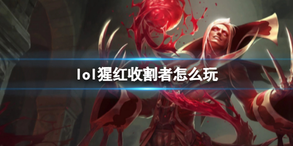 韭游网1