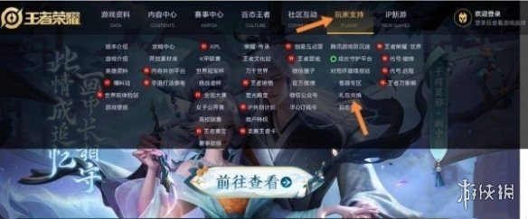 游侠网2