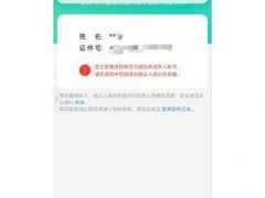 2024年王者荣耀实名认证更新指南