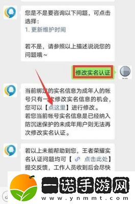 2024年王者荣耀实名认证更新指南