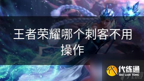 王者荣耀哪个刺客不用操作