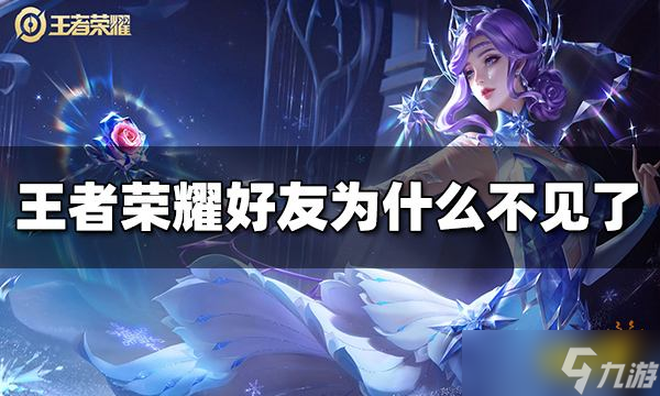 《王者荣耀》好友为什么不见了？好友不见解决办法介绍
