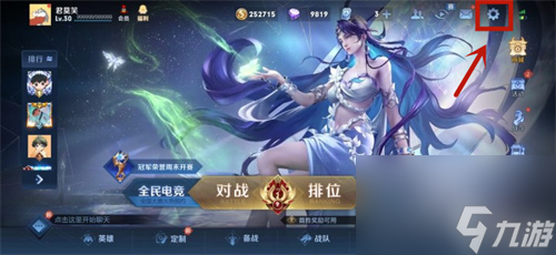 王者荣耀段位可以隐藏吗