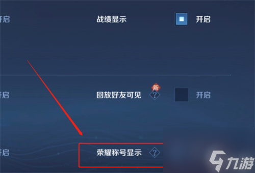 王者荣耀段位可以隐藏吗