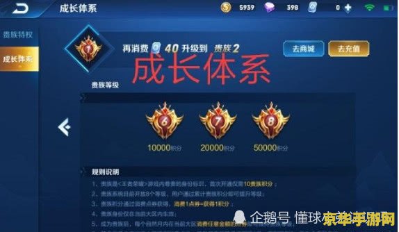 王者荣耀怎么隐蔽贵族身份 王者荣耀怎么隐蔽贵族身份