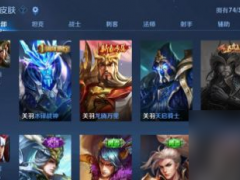 怎么看王者皮肤获取记录