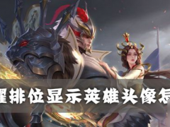 王者荣耀排位显示英雄头像怎么设置