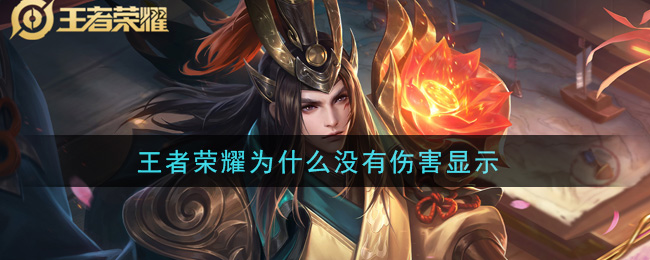 王者荣耀为什么没有伤害显示