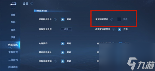 王者荣耀国标怎么隐藏